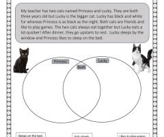 Compare And Contrast Worksheets