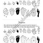 Footprints – ESL worksheet by Angelinaz