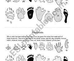 Footprint Words Worksheets