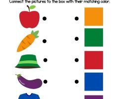 Sort And Match Colors Worksheets