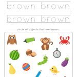 Brown Worksheets Premium Vector | Brown color worksheet. learning basic colors for …