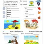 Worksheet On Seasons For Grade 1