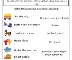 Idioms Worksheets