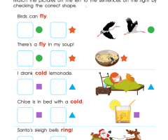 Homographs Worksheets