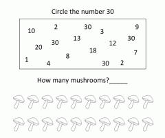 Number 30 Worksheets