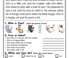 Reading Comprehension Worksheets
