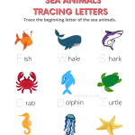 Ocean Animals Worksheets Kindergarten Lessons Ocean Animals Worksheet