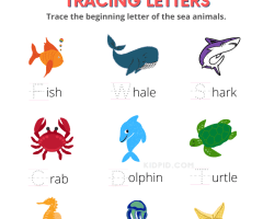 Ocean Animals Worksheets