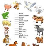Animal Sounds worksheet
