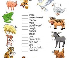 Animal Sounds Worksheets