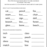 Printable Plural Nouns Worksheets for Kids – Tree Valley Academy