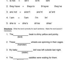 Apostrophe Worksheets