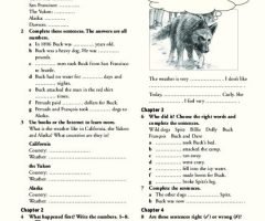 Call Of The Wild Worksheets