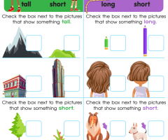 Long Vs. Short Worksheets